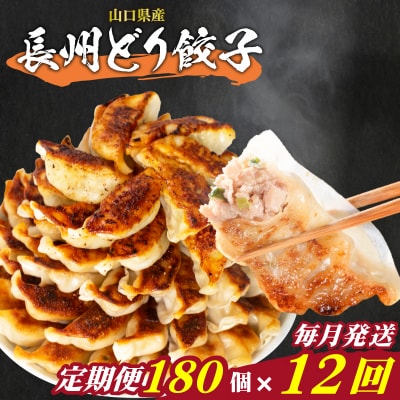 訳あり 長州どり餃子 12回 毎月 定期便 180個 12個×15パック 冷凍 小分け IB045