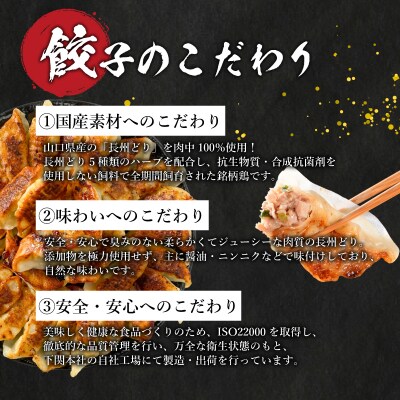 訳あり 長州どり餃子 12回 毎月 定期便 180個 12個×15パック 冷凍 小分け IB045