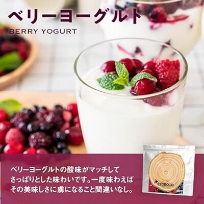 【ベリーヨーグルト風味】 EZOBOLIC プロテイン 1kg LG101-F