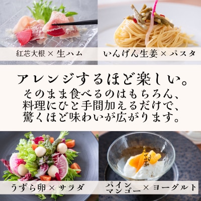 ピクルス 5本 おまかせ セット LM001