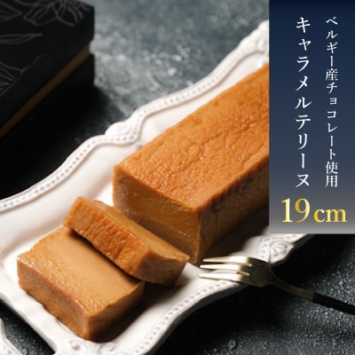 テリーヌ キャラメル 1本 (16cm / 500g) 冷凍 EN203