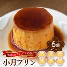 小月プリン 6個入 冷蔵 ※配送指定日必須 LD001-x