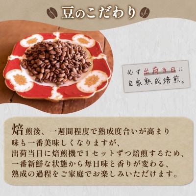 【中深煎り】 訳あり コーヒー豆 800g(400g×2袋) エチオピア EW146-B-x