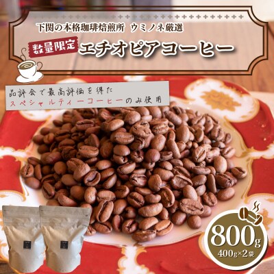 【中煎り】 訳あり コーヒー粉 800g(400g×2袋) エチオピア EW148-B-x