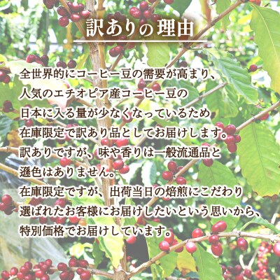 【中煎り】 訳あり コーヒー粉 800g(400g×2袋) エチオピア EW148-B-x