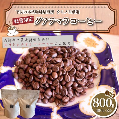 【中煎り】 訳あり コーヒー粉 800g ( 400g × 2袋 ) グアテマラ EW149-B-x