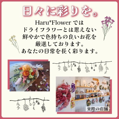 ドライフラワー花束 Sサイズ ブルー系 LN001