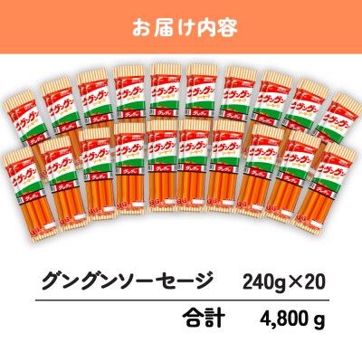 魚肉 ソーセージ 240本 グングンソーセージ HU005