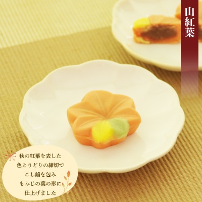 【先行予約】 訳あり ハヤシカネの和菓子詰合せ 30個 冷凍 季節の練切3種 IR020