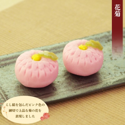 【先行予約】 訳あり ハヤシカネの和菓子詰合せ 30個 冷凍 季節の練切3種 IR019