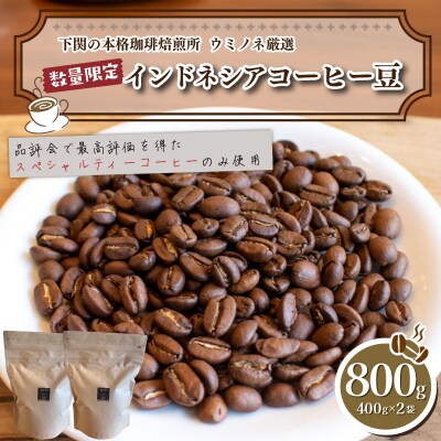 【浅煎り】 訳ありコーヒー豆 800g ( 400g × 2袋 ) インドネシア EW152-D-x