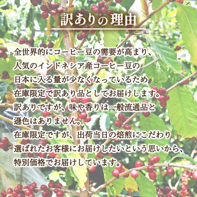 【浅煎り】 訳ありコーヒー豆 800g ( 400g × 2袋 ) インドネシア EW152-D-x