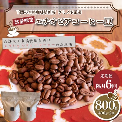 【定期便】【豆】 訳あり エチオピアコーヒー豆 800g 隔月6回 EW184