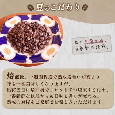 【定期便】【豆】 訳あり グアテマラコーヒー豆 800g 隔月3回 EW185