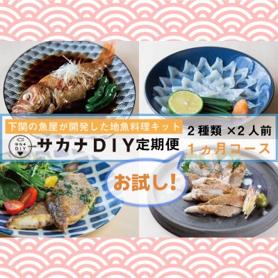 【お試し1回】 サカナDIY 2人前 2種×1ヶ月魚料理キット 冷凍 CX209-x