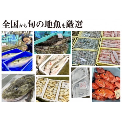 【お試し1回】 サカナDIY 2人前 2種×1ヶ月魚料理キット 冷凍 CX209-x