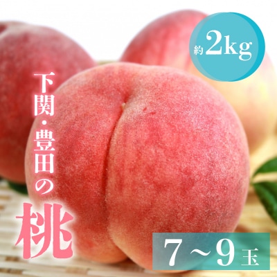 【先行受付】桃 約2kg 7～9玉 L~3L 数量限定 贈答 秀品 下関市 豊田町 HJ006