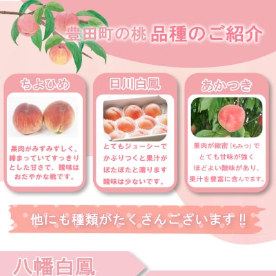 【先行受付】桃 約2kg 7～9玉 L~3L 数量限定 贈答 秀品 下関市 豊田町 HJ006