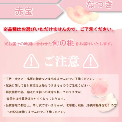 【先行受付】桃 約2kg 7～9玉 L~3L 数量限定 贈答 秀品 下関市 豊田町 HJ006