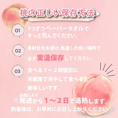 【先行受付】桃 約2kg 7～9玉 L~3L 数量限定 贈答 秀品 下関市 豊田町 HJ006