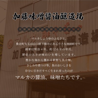 国産 麦味噌 3kg 手作り味噌 さしみ醤油 200mL セット HY003