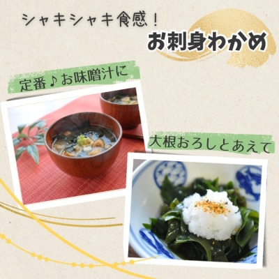 わかめ 3kg 冷凍 ME006