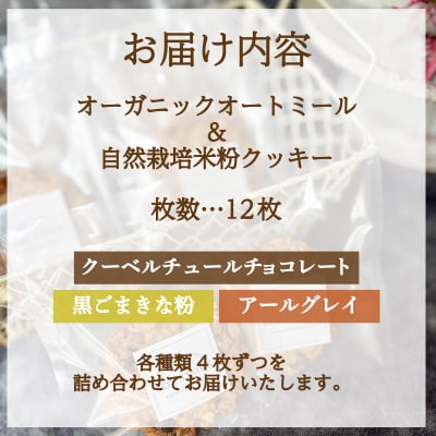 クッキー セット 12枚 KF001-1-x 