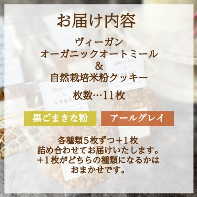 クッキー セット 11枚 ヴィーガン KF002-1 