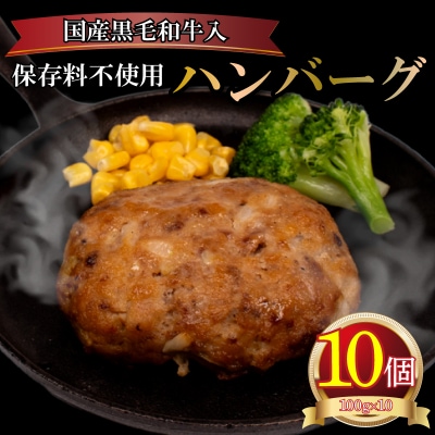 黒毛和牛入 ハンバーグ 10個 冷凍 MB003