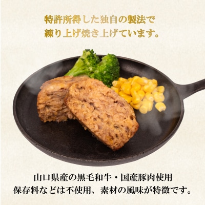 黒毛和牛入 ハンバーグ 10個 冷凍 MB003