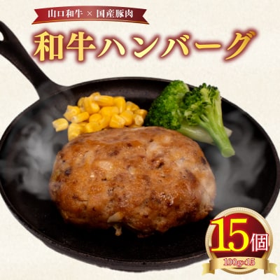 黒毛和牛入 ハンバーグ 15個 冷凍 MB004