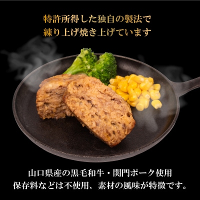 黒毛和牛入 ハンバーグ 15個 冷凍 MB004