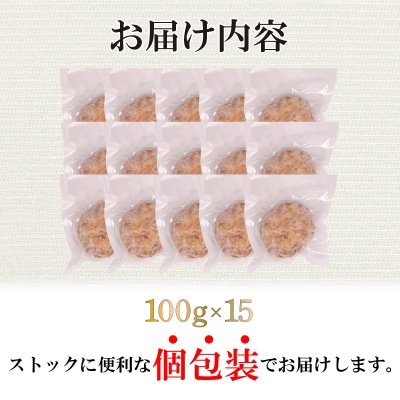 黒毛和牛入 ハンバーグ 15個 冷凍 MB004