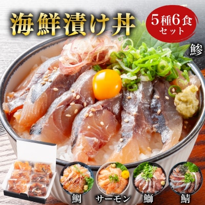 海鮮 漬け丼 セット 5種 6食 冷凍 真空パック BV025