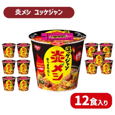 日清 炎メシ ユッケジャン 12食 インスタント 即席 JC009