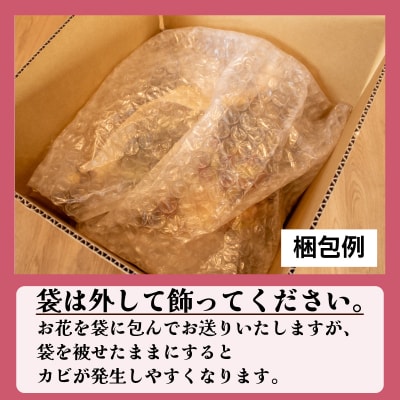 お正月飾り ラタンしめ縄 みつ輪 LN012