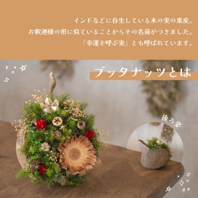 クリスマス ブッダナッツアレンジメント LN013