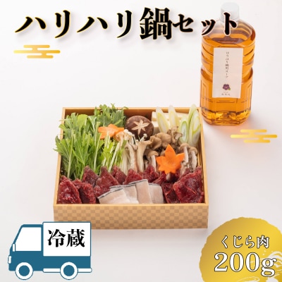 【 お届け指定日必須 】 ハリハリ鍋 セット BH231