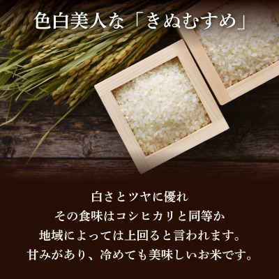 きぬむすめ 5kg 精米 HC405-x
