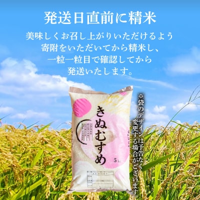 きぬむすめ 5kg 精米 HC405-x