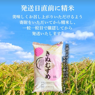 新米 きぬむすめ 10kg 精米 HC410