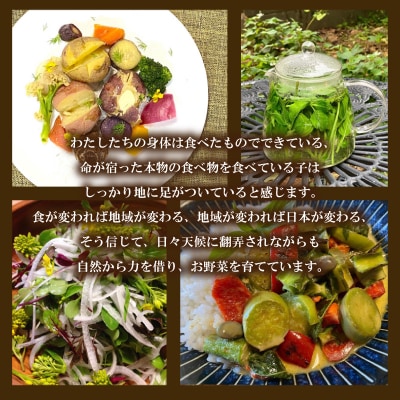 【期間限定】 じゃがいも 10kg 産地直送 デストロイヤー 下関 山口 IN103