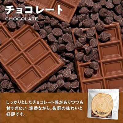 【定期便3回】チョコレート風味 1kg EZOBOLIC プロテイン LG103-A