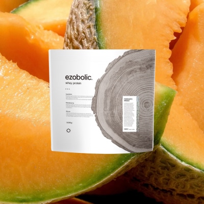 【定期便3回】北海道メロン風味 1kg EZOBOLIC プロテイン LG103-J