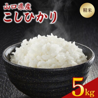 令和7年度米 こしひかり 5kg 山口県 下関市産 MD001