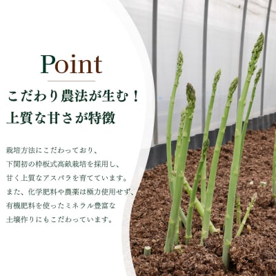 【3~4月発送】朝採れアスパラガス 1kg S~M FP101-34