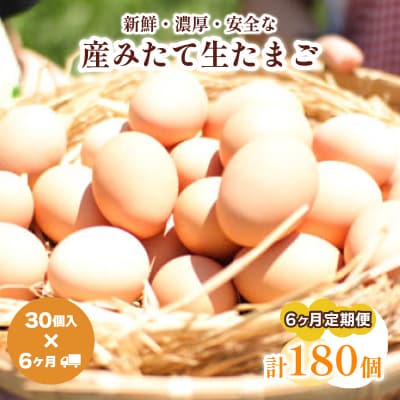 たまご 卵 定期便6ヶ月 30個×6ヶ月 計180個 (26個+割れ保障4個 ) BQ104
