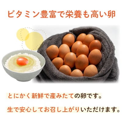 たまご 卵 定期便6ヶ月 30個×6ヶ月 計180個 (26個+割れ保障4個 ) BQ104