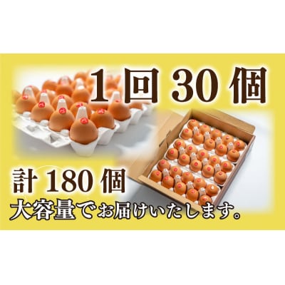 たまご 卵 定期便6ヶ月 30個×6ヶ月 計180個 (26個+割れ保障4個 ) BQ104