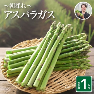 【7~9月発送】朝採れアスパラガス 1kg L~2L FP102-79